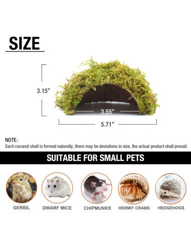 Escondite de Hámster SanmooAio Pequeño 12x14.5cm Ecológico