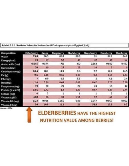 Jarabe de Sábila Orgánico BerryQueen 227g - Suplemento Natural