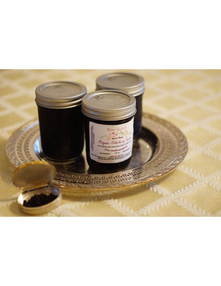 Jarabe de Sábila Orgánico BerryQueen 227g - Suplemento Natural