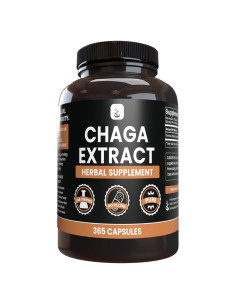 Cápsulas de Extracto de Hongo Chaga Ingredientes Originales 365 Unidades