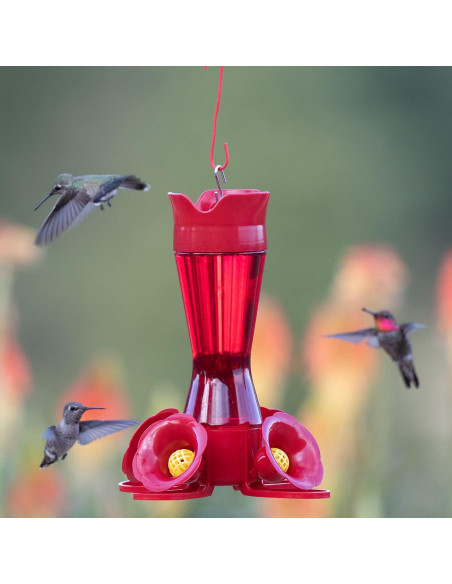 Alimentador de colibríes Perky-Pet 403CP 0.24L Pack de 6