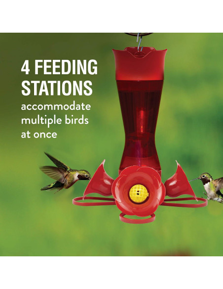 Alimentador de colibríes Perky-Pet 403CP 0.24L Pack de 6