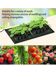 Alfombrilla Térmica Ruyyi 50.8x25.4 cm para Plántulas 2