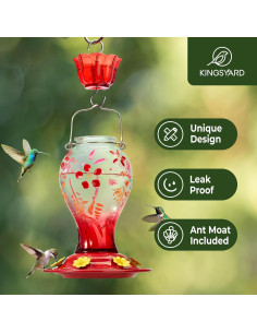 Alimentador de Colibríes de Vidrio Kingsyard 0.77 L Colgante 2