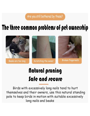 Juguete para Aves Dbeans Flourithing con Campana y Comedero