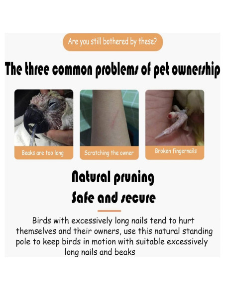 Juguete para Aves Dbeans Flourithing con Campana y Comedero Juguete para Aves Dbeans Flourithing con Campana y Comedero