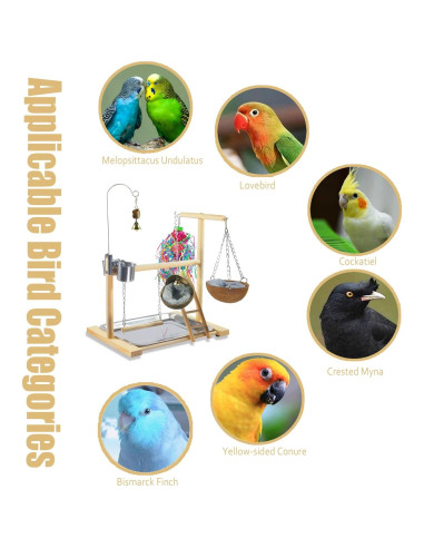 Juguete para Aves Dbeans Flourithing con Campana y Comedero