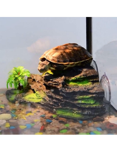 Plataforma de Sol para Tortugas Kathson con Ventosas 18x16cm