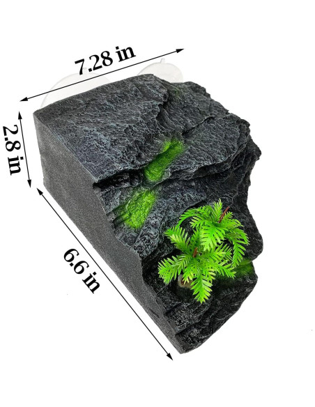 Plataforma de Sol para Tortugas Kathson con Ventosas 18x16cm