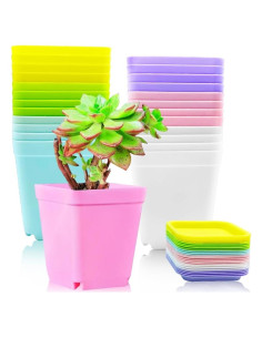Macetas de Flores Coloridas Haawooky 24 Piezas 7x7x7.7 cm