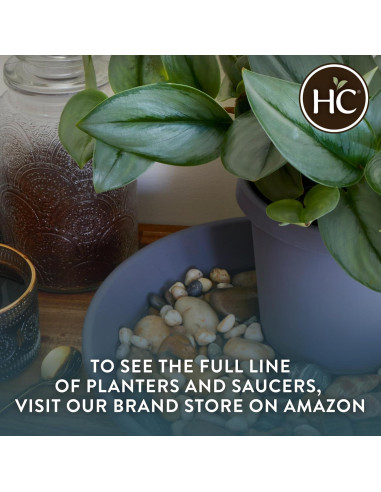 Platillo Redondo de Plástico HC Companies 15.24 cm Negro