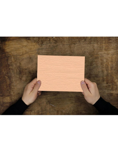 Carpeta de Embossing 3D Hying Flores y Ramas 14.5x10.5 cm