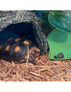 Cueva Escondite Roca Reptil Kathson 16.5x16x12cm Decoración 2