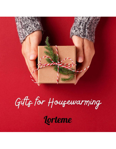 Organizador de Escritorio Giratorio Lorteme - Negro, Multifuncional