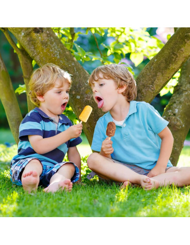 4 Moldes de Silicona para Paletas SAYAYA con 200 Palitos