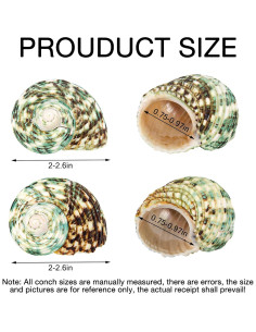 Conchas de Cangrejo Ermitaño Naturales Fuhai 2 Piezas 5-6.6 cm 2