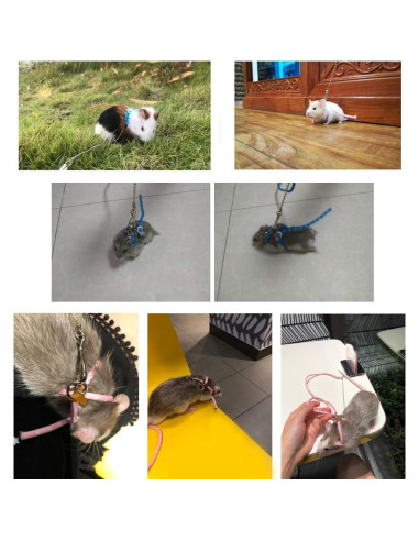 Arnés Ajustable con Campana para Ratas y Cobayas Wontee Azul