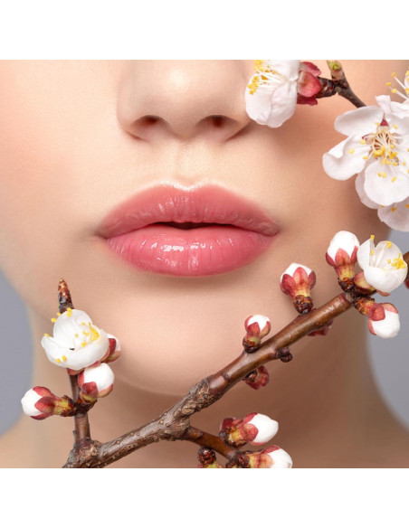 Bálsamo Labial Dmsky 100% Natural Hidratante 20 Sabores