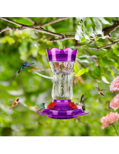 Comedero para colibrí XAROO de vidrio 425g con trampa para hormigas 2