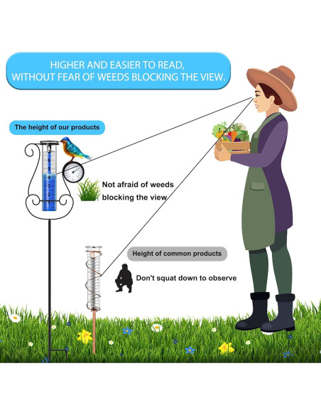 Pluviómetro Digital Grande Rose Manor con Termómetro y Colibrí