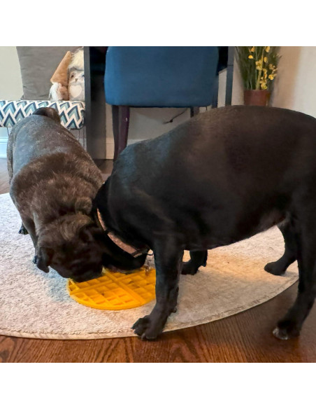 Alfombrilla de Lamer SPOT Soother 19cm Caucho Alimenticio