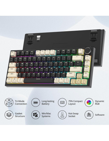 Teclado Mecánico Inalámbrico iRoboosta 75% RGB 82 Negro