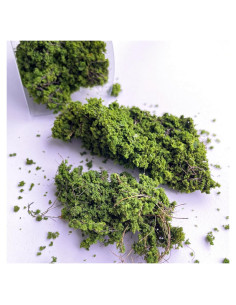 Kit de Arbustos Miniatura Wanwanzi - Decoración Verde 1x1 cm