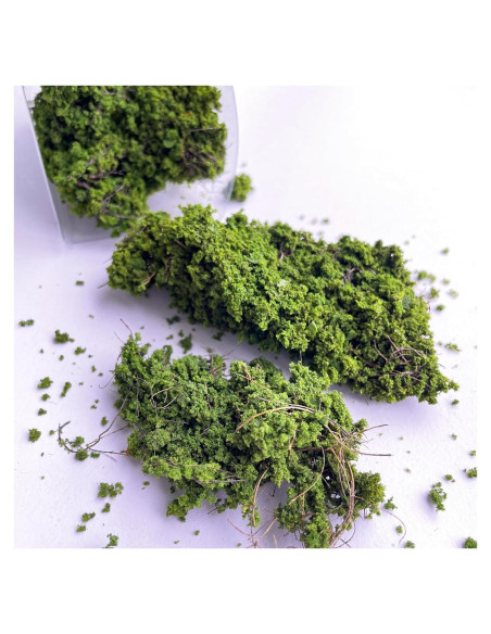 Kit de Arbustos Miniatura Wanwanzi - Decoración Verde 1x1 cm