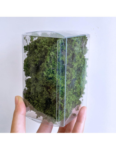 Kit de Arbustos Miniatura Wanwanzi - Decoración Verde 1x1 cm