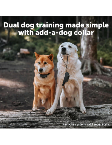 Collar de Entrenamiento Remoto PetSafe PAC00-16163 - Impermeable