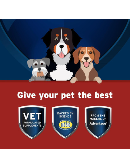 Suplemento Pet Protect Caderas y Articulaciones+ Elanco 60 Masticables