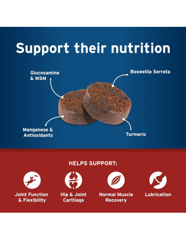 Suplemento Pet Protect Caderas y Articulaciones+ Elanco 60 Masticables