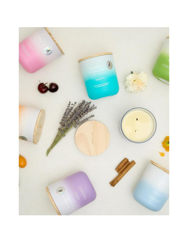 Vela Aromática M&SENSE Eucalipto y Lavanda 400g 80h