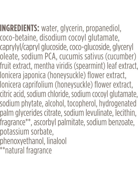 Limpiador Facial Espumoso Burt's Bees con Pepino y Menta 201g Limpiador Facial Espumoso Burt's Bees con Pepino y Menta 201g