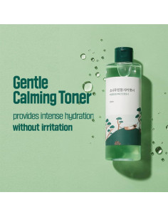 Tónico Calmante Cica de Pino Round Lab 250ml Hidratante 2