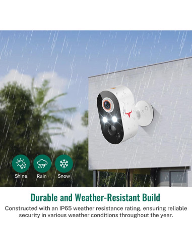 Cámara de Seguridad Inalámbrica Botmelt 1080P Exterior AI