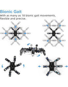 Kit Robot Hexápodo Programable XiaoR GEEK con Raspberry Pi 4B 2