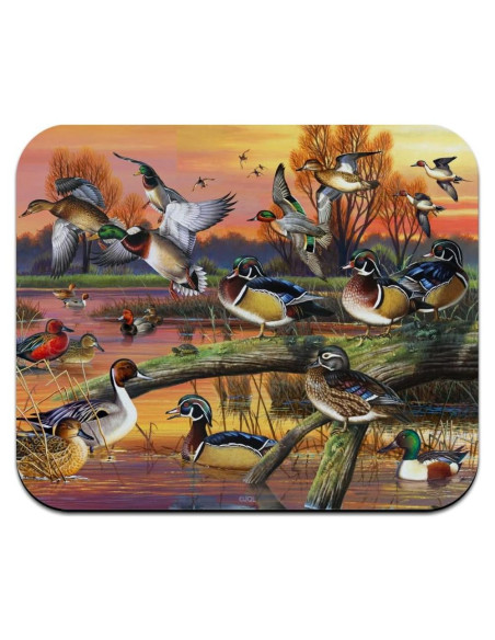 Alfombrilla de Ratón Graphics & More Multicolor 23.6x19.8cm Alfombrilla de Ratón Graphics & More Multicolor 23.6x19.8cm