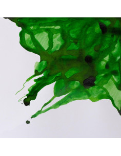 Tinta de Dibujo Winsor & Newton 14ml Verde Manzana 2