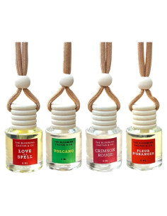 Ambientadores de coche The Blooming Cactus 8 ml Hechos a Mano