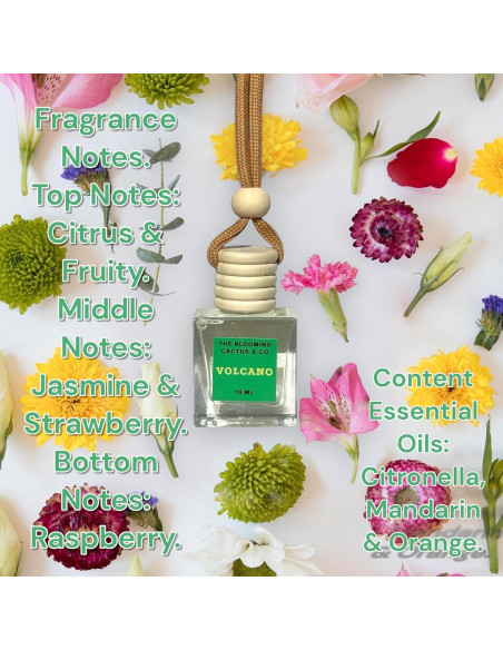 Ambientadores de coche The Blooming Cactus 8 ml Hechos a Mano Ambientadores de coche The Blooming Cactus 8 ml Hechos a Mano