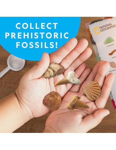 Caja de Colección de Rocas National Geographic - 300 Piezas