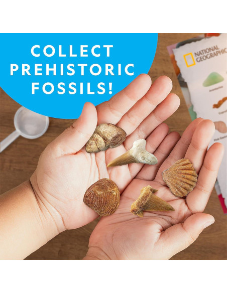 Caja de Colección de Rocas National Geographic - 300 Piezas