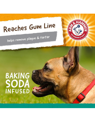 Juguete Dental para Perros Arm & Hammer Mantequilla de Maní