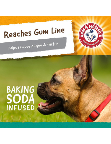 Juguete Dental para Perros Arm & Hammer Mantequilla de Maní