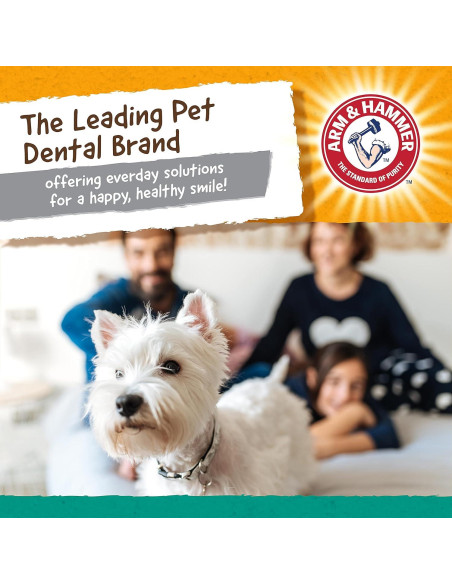 Juguete Dental para Perros Arm & Hammer Mantequilla de Maní
