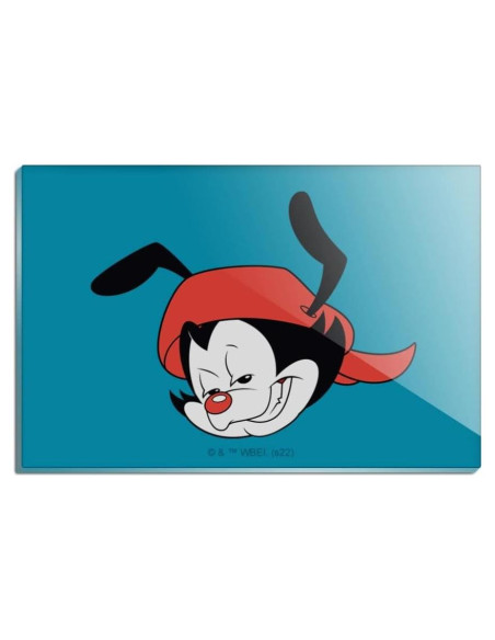 Imán Acrílico Rectangular Animaniacs 7.6x5.1cm - Graphics & More