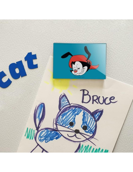 Imán Acrílico Rectangular Animaniacs 7.6x5.1cm - Graphics & More