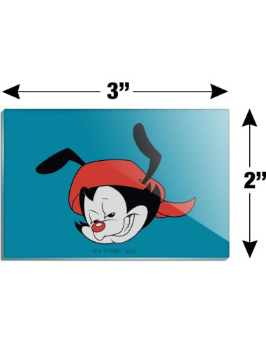 Imán Acrílico Rectangular Animaniacs 7.6x5.1cm - Graphics & More