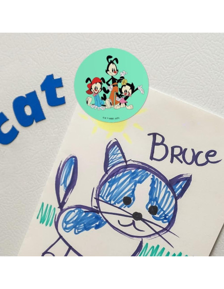 Conjunto de 4 Imanes de Vinilo Animaniacs - 6.4cm Redondos